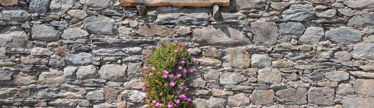 NEI BOSCHI DEL SANTUARIO DI VICOFORTE, TRA IL SACRO ED I CASTAGNI